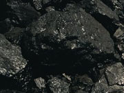 Опосля творения "Государственной угольной компании" сократят наиболее 1 млн тружеников, - источники / Новинки / Finance.ua