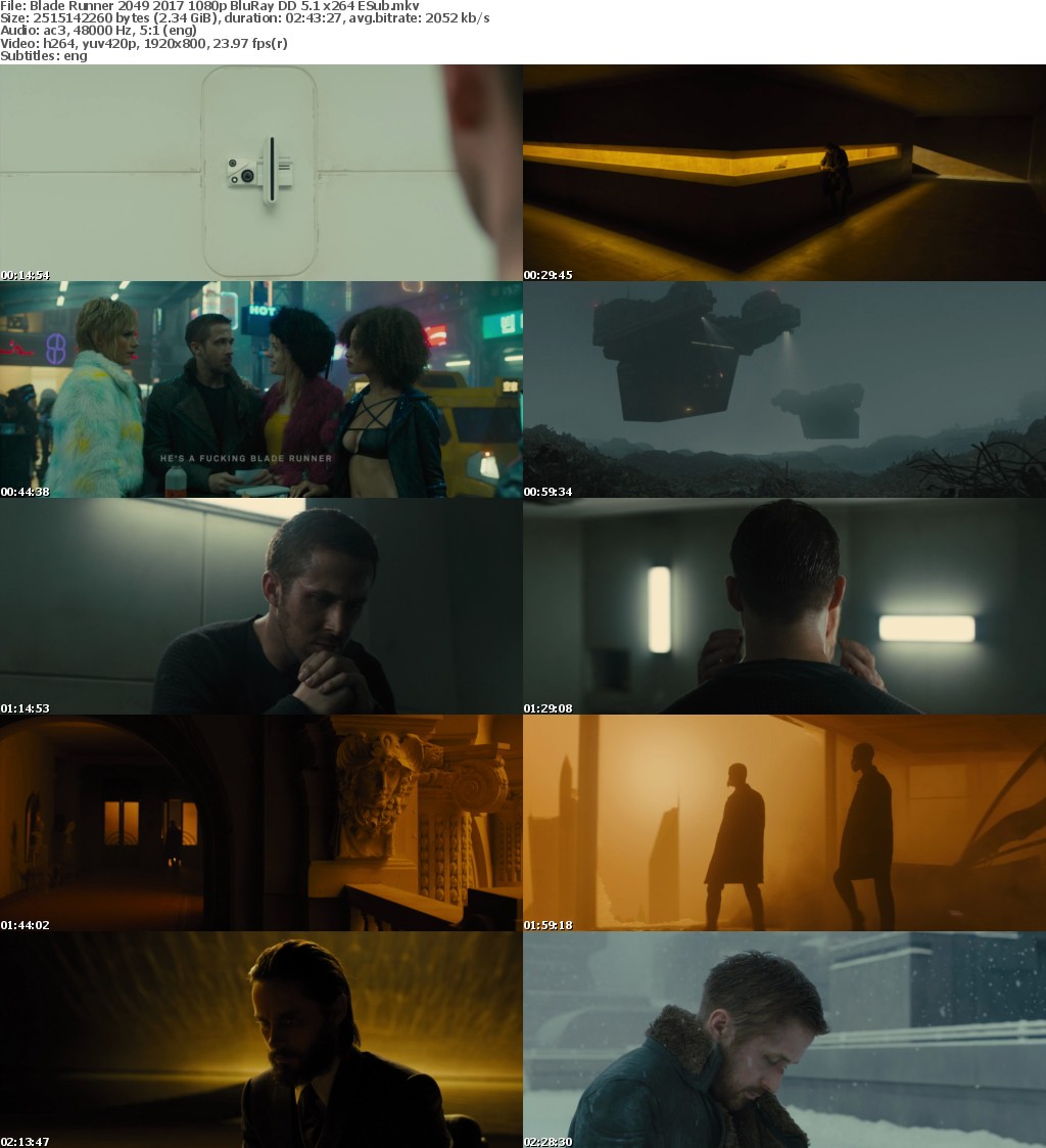 Blade Runner 2049 (2017) 1080p BluRay DD 5.1 x264 ESub-DLW