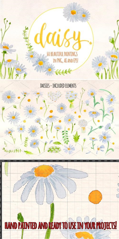 Spring Daisies 60 Watercolor Element 1897921