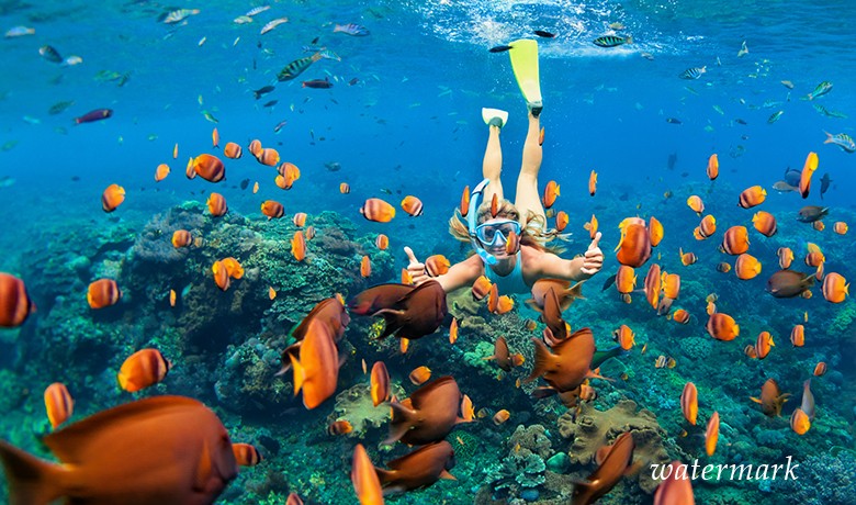 Мальдивы признаны лучшим местом для подводного плавания в 2017 г