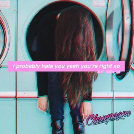 Champagne - I Probably Hate You (2018)