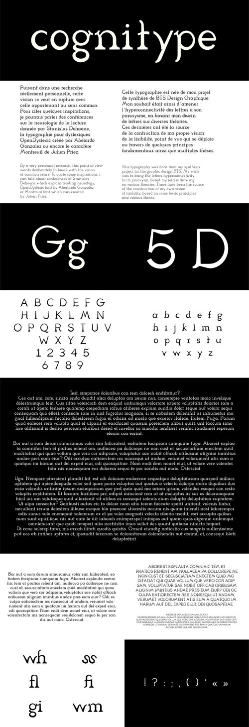 Cognitype Serif Typeface