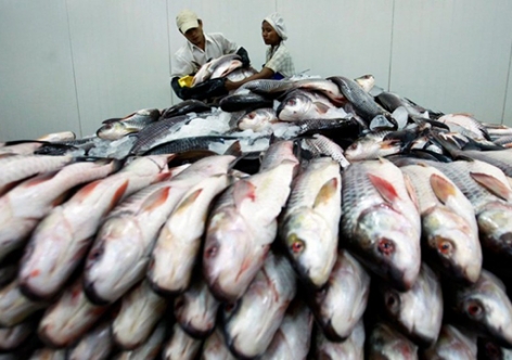 В Крыму сожгли 200 кг рыбы