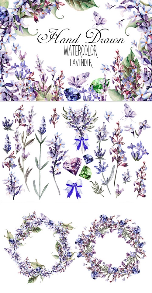 Beautiful watercolor Lavender - 650366