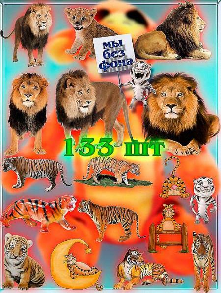Коллекция Png клипартов - Львы и тигры