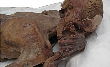 На шкуре египетских мумий ученые отыскали самые античные татуировки