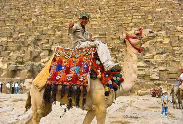 Торговлю сувенирами и катание на верблюдах около пирамид запретят