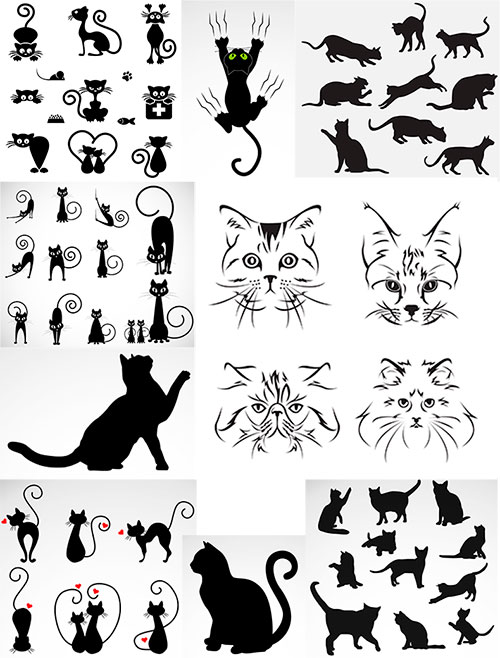 ׸  -  / Black cat - Vector