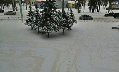 "Им лишь повод дай": луганчан стращали оранжевым снегом - фото
