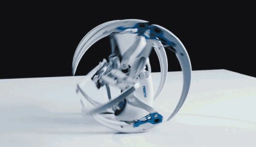Робот BionicWheelBot #3