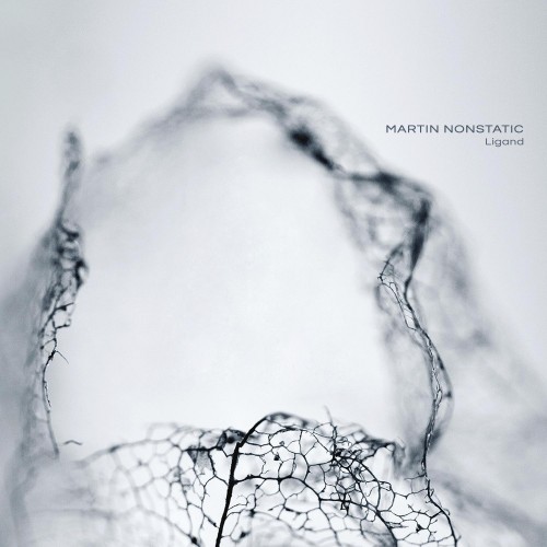 (Downtempo, Ambient) Martin Nonstatic - Ligand (2017), MP3, 320 kbps