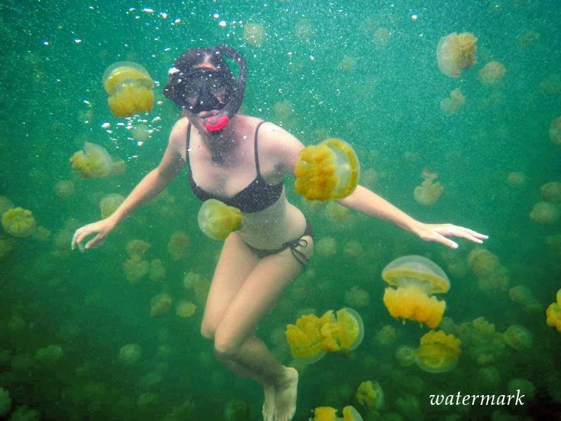 Наиболее 25 медуз напали на туристку на Сицилии