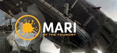 The Foundry Mari 4.1v2 Win x64