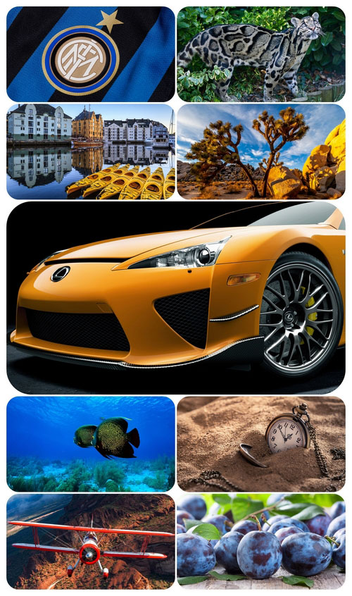 Beautiful Mixed Wallpapers Pack 823