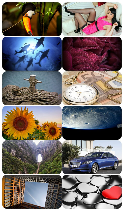 Beautiful Mixed Wallpapers Pack 837