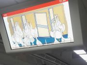 В столичном метро запустили новейшую видеоинформационную систему / Новинки / Finance.ua