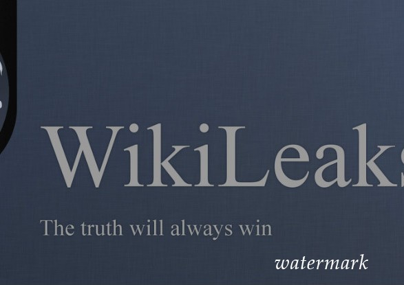 В WikiLeaks поведали о творце статьи про свита Трампа в The New York Times