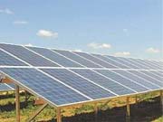 В Голландии солнечные панели на молочных фермах могут обеспечить 12% потребностей страны в электроэнергии / Новинки / Finance.ua