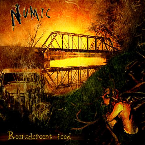 Numic - Recrudescent Feed (2004)