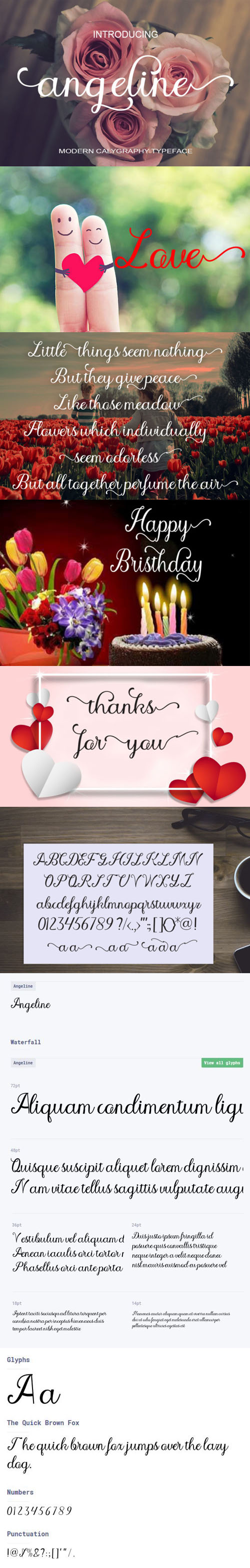 Angeline Script Style Font - Gorgeous & Warm Font