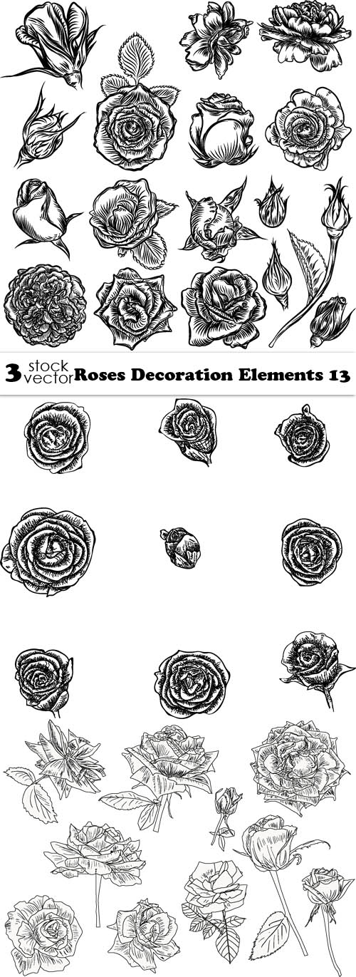 Vectors - Roses Decoration Elements 13